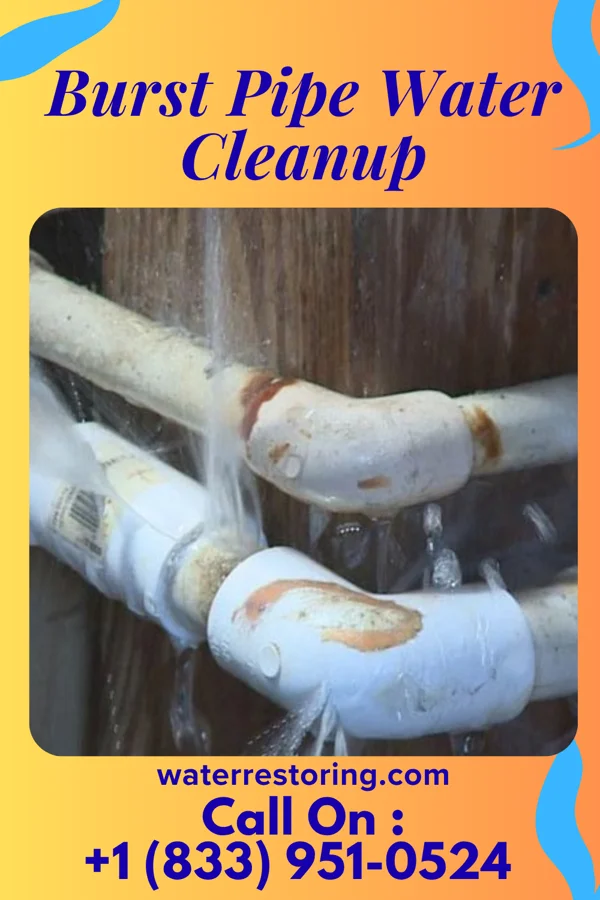 Burst Pipe Water Cleanup in Trent, OR