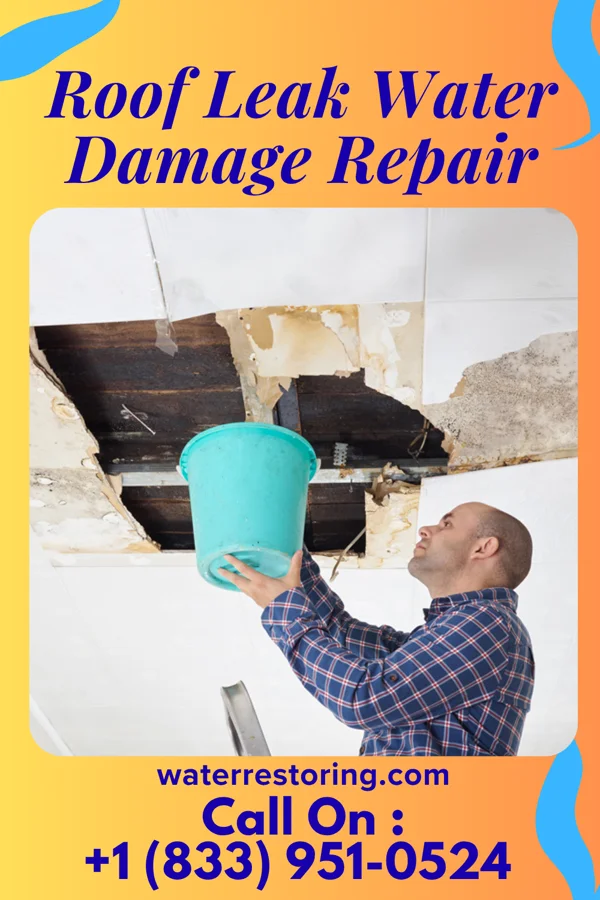 Roof Leak Water Damage Repair in Trent, OR